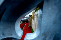 Tower of London - poppies 2014